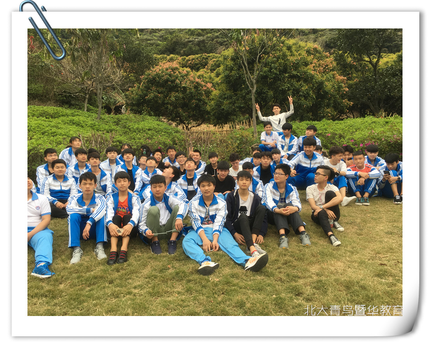 女生学IT拼图.jpg